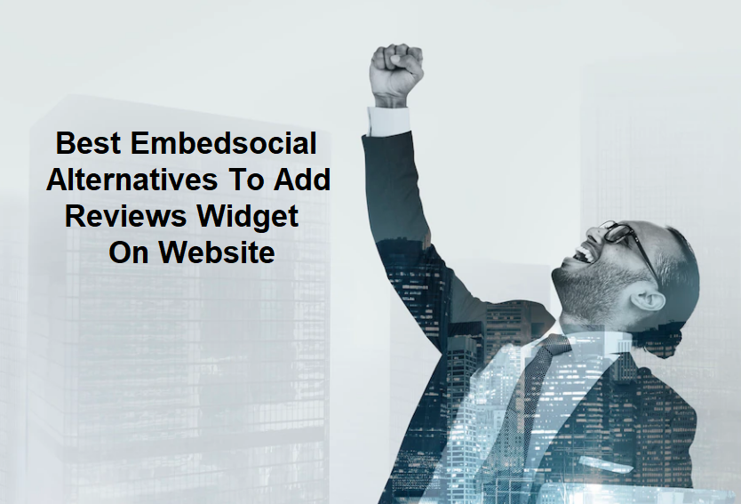 Embedsocial Alternatives